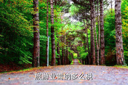 旅游業(yè)是什么稅，旅游行業(yè)需要交納什么稅呢