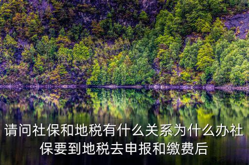 為什么醫(yī)保由地稅收，社保為什么要地稅代扣