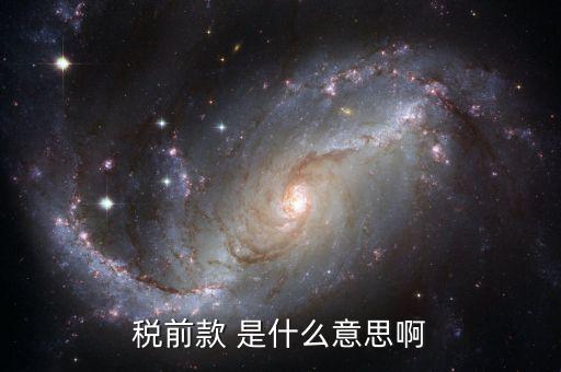 稅前金額是什么意思，稅前款 是什么意思啊