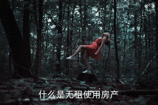 什么是無(wú)租使用房產(chǎn)，請(qǐng)問(wèn)在經(jīng)濟(jì)法里無(wú)租使用房產(chǎn)是什么意思