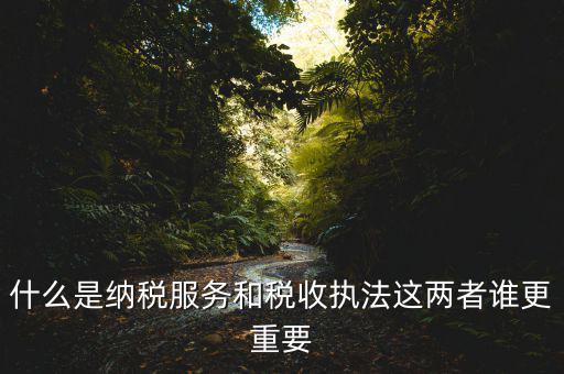 什么是納稅服務(wù)，什么是納稅服務(wù)和稅收?qǐng)?zhí)法這兩者誰(shuí)更重要