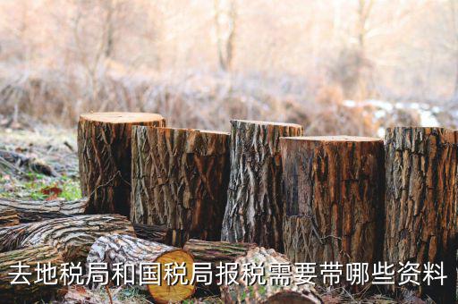 地稅局交稅需要什么，去地稅局繳納營(yíng)業(yè)稅金及附加需要帶什么資料