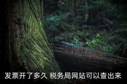 稅局一般什么時(shí)候查發(fā)票，增值稅發(fā)票開多久能在國家稅務(wù)局查到