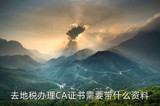 地稅ca帶什么，去地稅簽三方協(xié)議需要以下東西第四個CA是什么意思啊