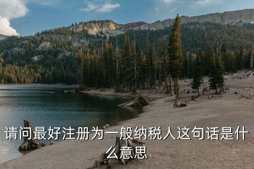 納稅資格是什么意思，具有納稅人資格是什么意思