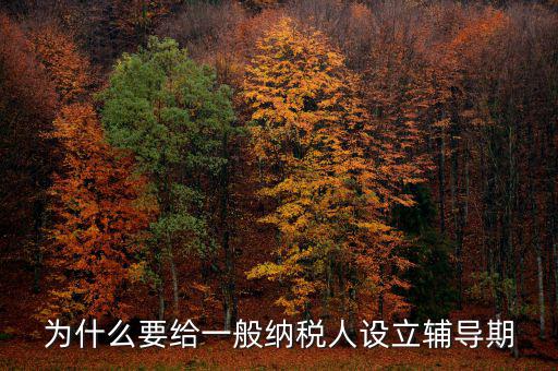 為什么增值稅輔導(dǎo)期，什么是輔導(dǎo)期一般納稅人