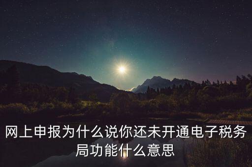 電子稅務(wù)局是干什么，企業(yè)金稅盤系統(tǒng)用來開票抄稅報(bào)稅用那登錄國稅地稅局網(wǎng)站是干嘛的