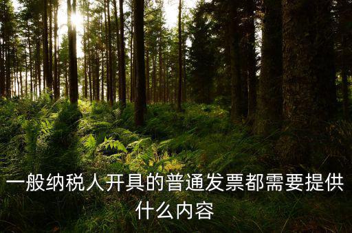 申請普票都需要什么，一般納稅人申請普通發(fā)票所帶的資料