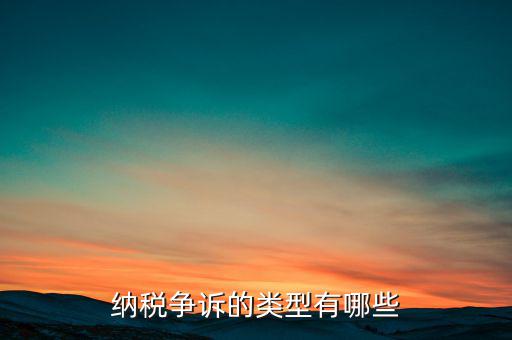 什么是納稅爭議，納稅爭議和稅收處罰分別有哪些