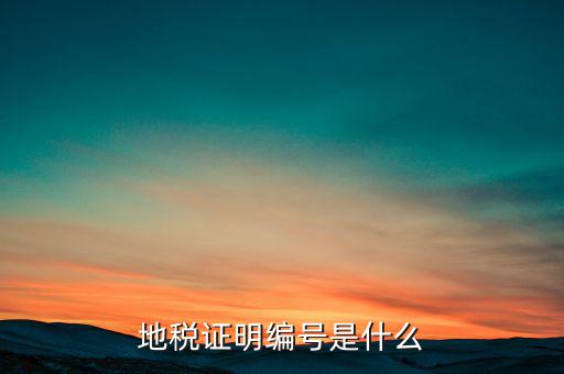 地稅登記序號是什么，地方稅納稅資料封面上稅務登記證號是甚么