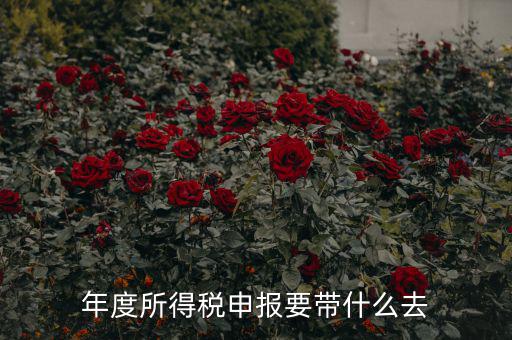 納稅申報(bào)應(yīng)帶什么東西，你好 到稅務(wù)局報(bào)稅需要帶什么東西怎么報(bào)