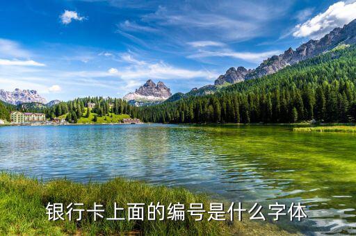 中國銀行數(shù)字字體是什么，中國銀行的標是什么字體啊