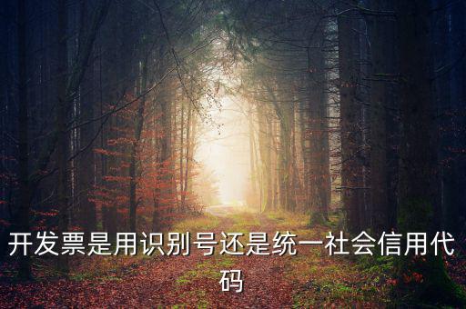 發(fā)票填寫統(tǒng)一社會代碼是什么，開發(fā)票要的稅號是統(tǒng)一社會代碼證號嗎