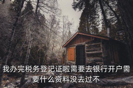稅務(wù)登記以后需要什么資料，辦理稅務(wù)登記證都需要提供什么資料