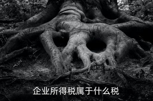 企業(yè)所得稅是什么稅，所得稅包括什么稅