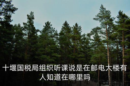 十堰國稅六辦指什么地方，十堰國稅局組織聽課說是在郵電大樓有人知道在哪里嗎