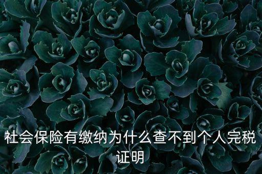 為什么查不到納稅記錄，社會保險有繳納為什么查不到個人完稅證明