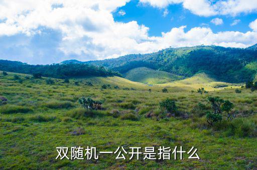 稅務(wù)雙隨機(jī)一公開(kāi)是什么意思，雙隨機(jī)一公開(kāi)屬于什么用語(yǔ)比如習(xí)語(yǔ)標(biāo)語(yǔ)或者成語(yǔ)之類的因?yàn)?/></a></span><span id=