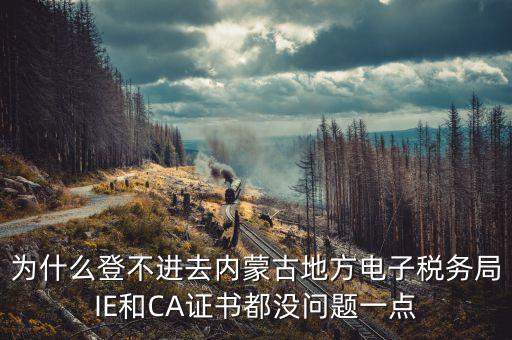 為什么ca登不了電子稅務(wù)局，國(guó)稅數(shù)字證書(shū)登陸失敗請(qǐng)問(wèn)什么原因