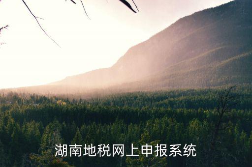 湖南地稅網上申報系統(tǒng)