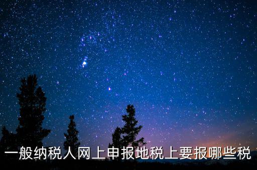 地稅都申報什么，一般納稅人網(wǎng)上申報地稅上要報哪些稅