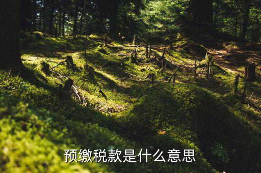 為什么預繳稅款，預繳稅款是什么意思