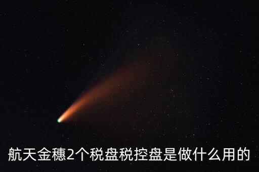 開票軟件兩盤是什么，第二個金稅盤裝開票軟件裝不了也沒有完全安裝這一步啥意思