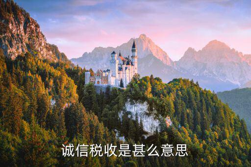 什么是誠信納稅，依法誠信納稅共建小康社會是對的嗎