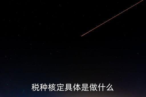票中核定是什么核定的，哪些情況下要進行國稅票種核定