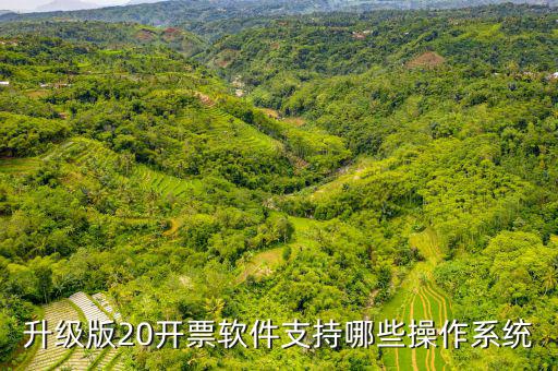 開票軟件適用什么系統(tǒng)，有沒有適合電商用的發(fā)票處理系統(tǒng)