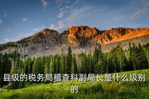 稅務(wù)局稽查科是什么，縣級的稅務(wù)局稽查科副局長是什么級別的