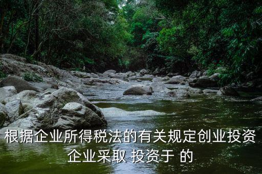 根據企業(yè)所得稅法的有關規(guī)定創(chuàng)業(yè)投資企業(yè)采取 投資于 的