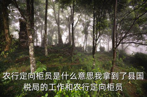 國稅值班是什么意思，農(nóng)行定向柜員是什么意思我拿到了縣國稅局的工作和農(nóng)行定向柜員