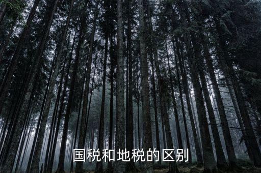 稅務(wù)和地稅什么區(qū)別，國稅和地稅的區(qū)別