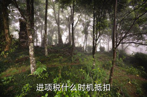 認(rèn)證的進(jìn)項稅什么時候抵扣，進(jìn)項稅什么時機(jī)抵扣
