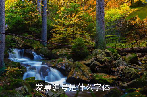 發(fā)票上的號(hào)碼是什么字體，發(fā)票編號(hào)是什么字體