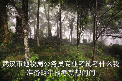 省地稅局復(fù)試考什么，武漢市地稅局公務(wù)員專業(yè)考試考什么我準(zhǔn)備明年報(bào)考就想問問