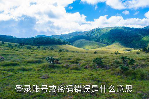 陜西電子稅務(wù)局登錄賬號是什么意思，登錄賬號或密碼錯誤是什么意思