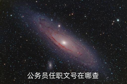什么地方可以查任職文號，公務(wù)員任職文號在哪查