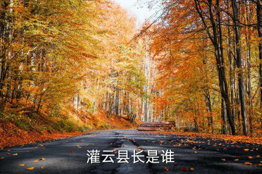 灌云國(guó)稅局局長(zhǎng)叫什么，國(guó)家稅務(wù)局局長(zhǎng)叫什么