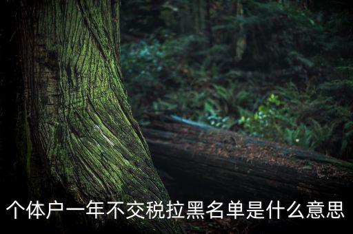 什么是納稅信用黑名單，個體戶一年不交稅拉黑名單是什么意思