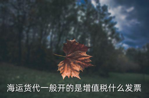 貨運(yùn)代理開什么票，海運(yùn)貨代一般開的是增值稅什么發(fā)票