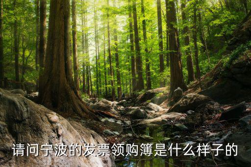 發(fā)票領(lǐng)用簿什么樣子，會(huì)計(jì)發(fā)票領(lǐng)購沒經(jīng)驗(yàn)想請(qǐng)問領(lǐng)購的發(fā)票時(shí)什么樣的有金額顯示嗎
