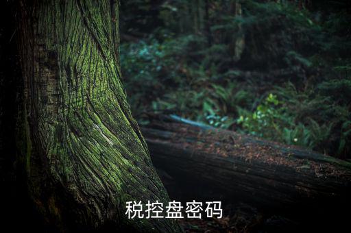 稅控盤(pán)證書(shū)密碼是什么意思，稅控盤(pán)上報(bào)匯總密碼是什么