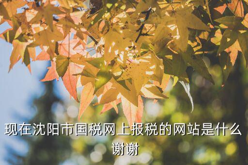 國稅交稅的網(wǎng)站是什么，現(xiàn)在沈陽市國稅網(wǎng)上報稅的網(wǎng)站是什么 謝謝