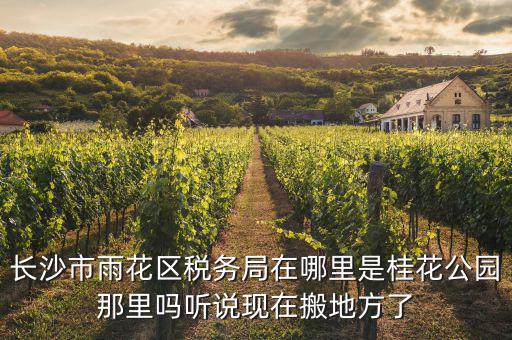 長沙國稅局在什么地方，長沙國稅局在哪