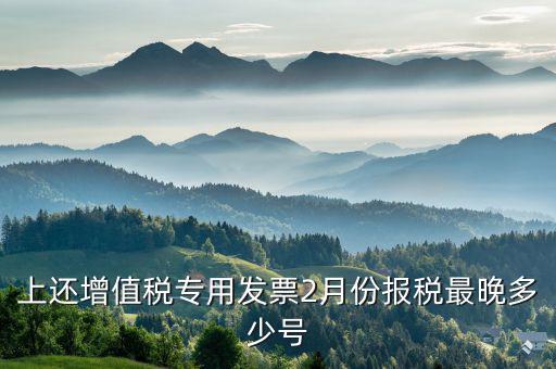 己開具專用票最遲什么時侯報稅，銷售貨物開具了發(fā)票什么時候報稅