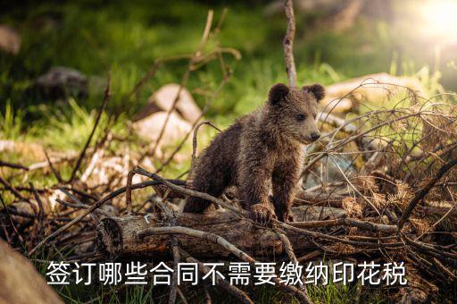 什么合同需要交印花稅，要交印花稅的合同有哪些