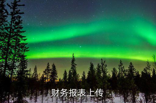 每年上傳什么財(cái)務(wù)報(bào)表，報(bào)哪些稅時(shí)需要上傳財(cái)務(wù)報(bào)表麻煩詳細(xì)一點(diǎn)報(bào)增值稅時(shí)怎樣上傳財(cái)