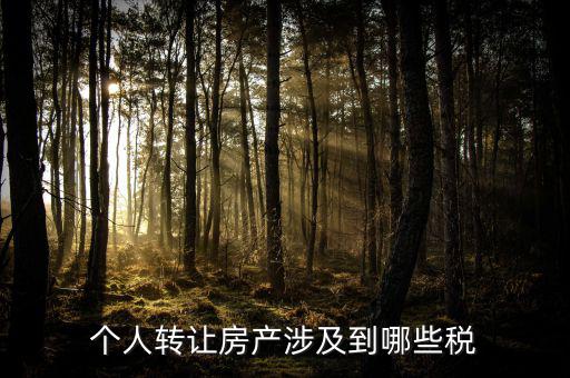 個人出售住房交什么稅，賣房子要交20的稅